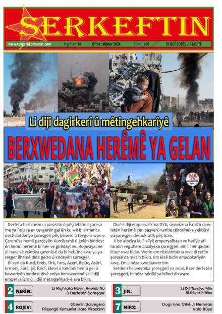 Serkeftin – Hejmar 14 (11/2024)
